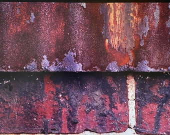 Rust Panels in Braddock