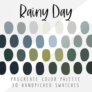 Rainy Day, Procreate Color Palette, Color Swatches,  Procreate Palette
