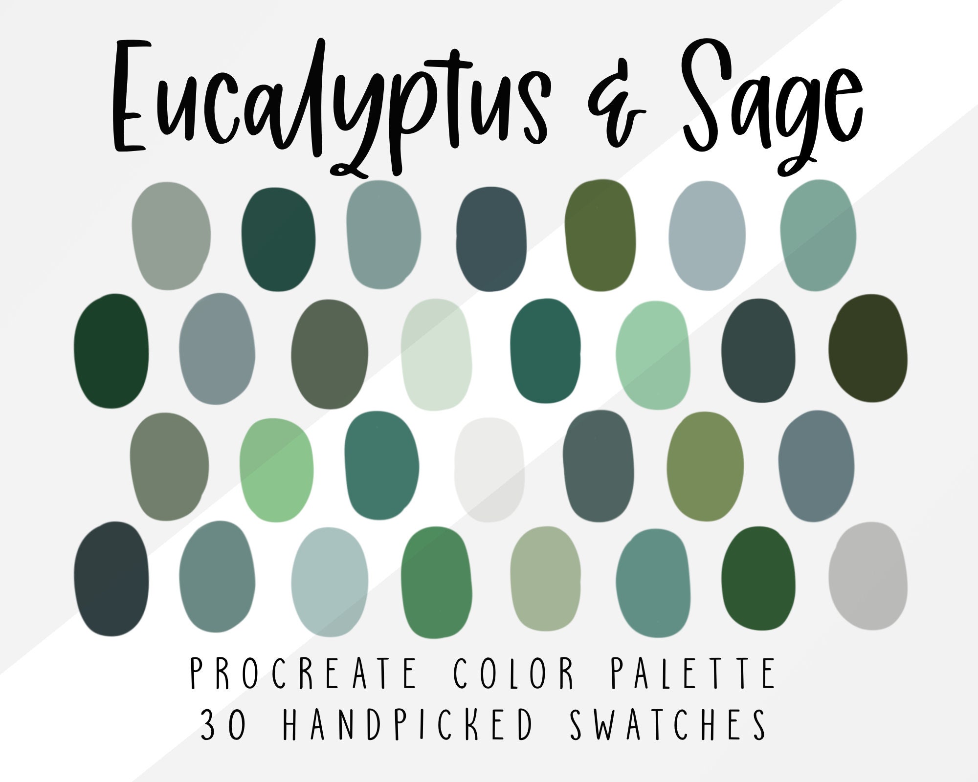 Eucalyptus Sage Procreate Color Palette Cool Color Swatches Etsy India