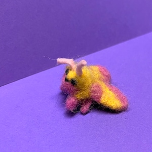 needle felted rosy maple moth