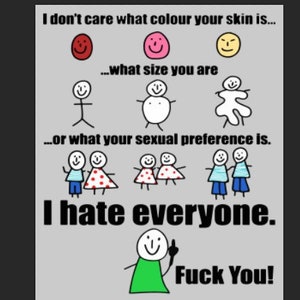 以下が含まれることがあります： 「I don't care what colour your skin is... what size you are... or what your sexual preference is. I hate everyone. Fuck You!」というテキストが書かれた、ユーモラスなミーム。グレーの背景に棒人間イラストが描かれています。
