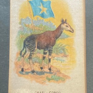 May include: A vintage illustration of an Okapi, a mammal native to the Democratic Republic of Congo, standing in a grassy field. A blue flag with a white star is in the background. The text "OKAPI - CONGO" and the number "37" are printed below the image.