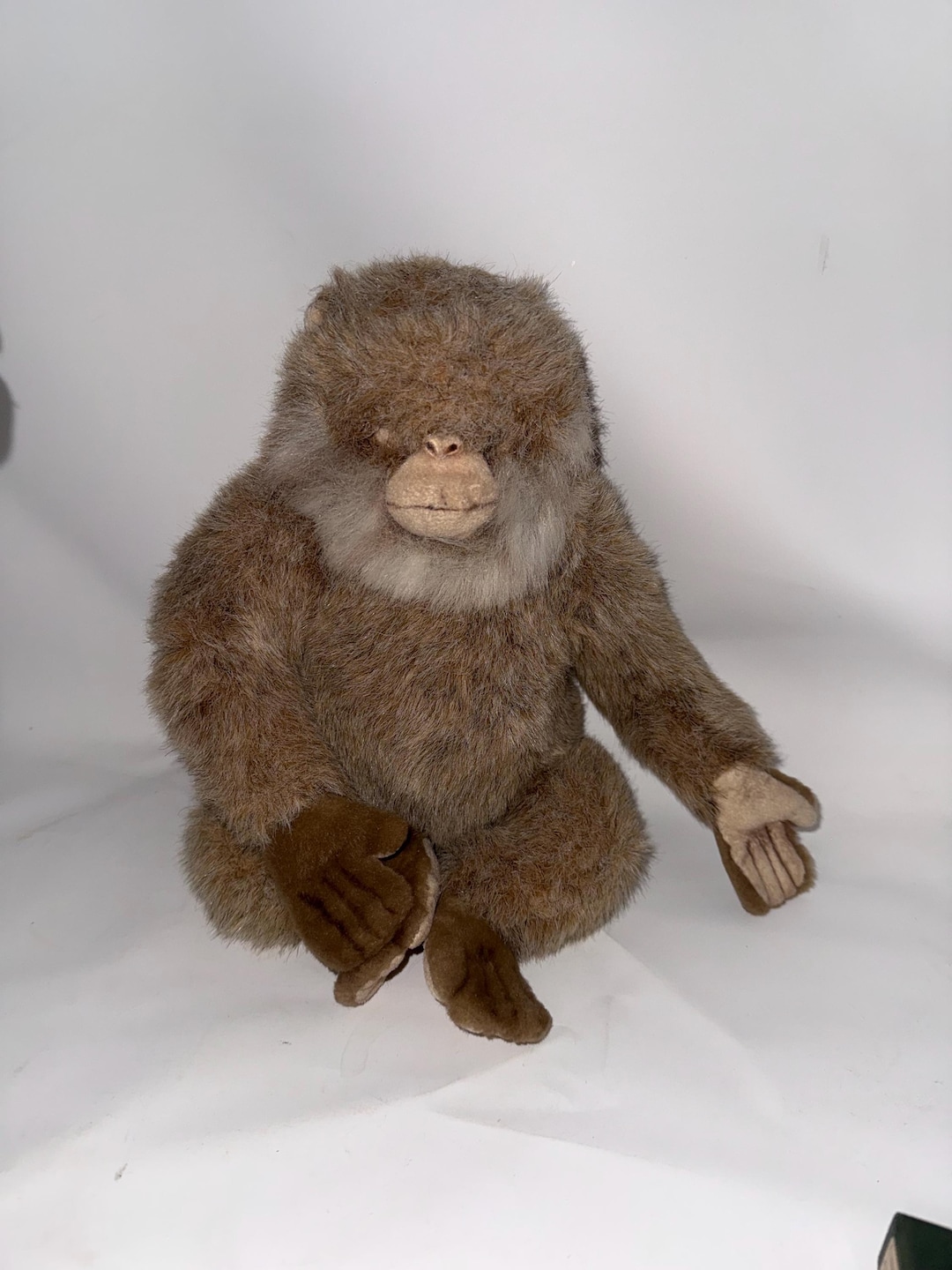 Cappuccino Colour Hansa Barbary Macaque 