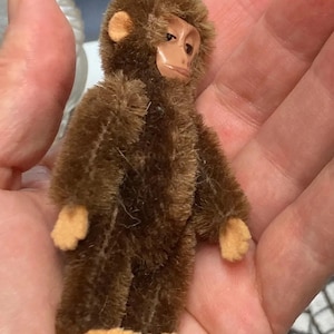 Op de afbeelding: Een bruin pluche aapje met een plastic gezicht en een lang, pluche lichaam. De aap staat op een hand.