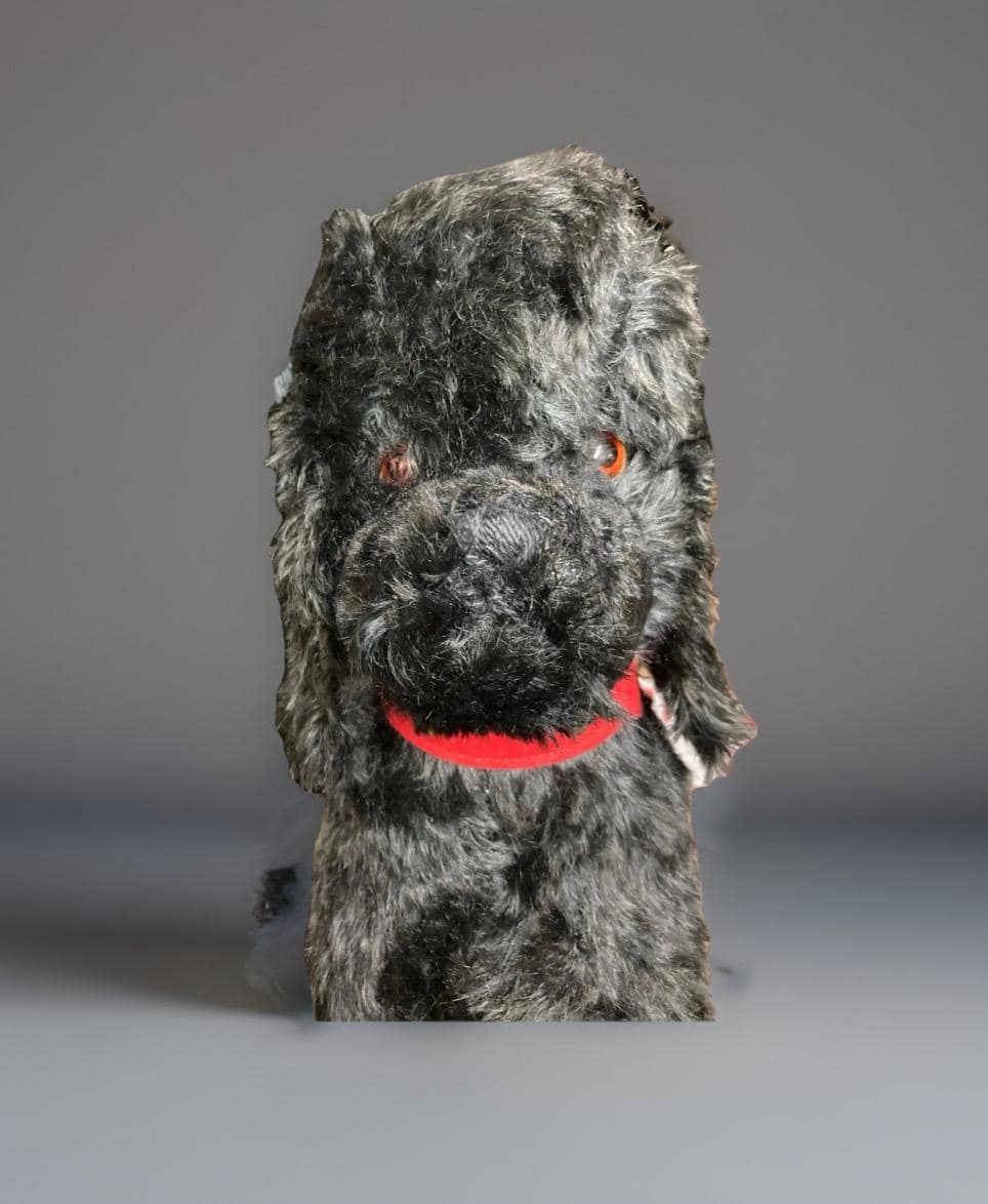 Vintage, 1930-1950,chad Valley Musical Black Dog Poodle - Etsy