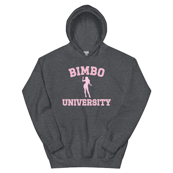 Bimbo University Hoodie - Funny Hoodie Novelty Hoodie Girly Sweatshirt Y2K Hoodie