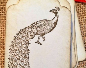 Peacock vintage Hang Tags - (8) Feather bird  - Holistic mystical Tag - Tags - Rustic - Wellness label tags - fairytale fairy