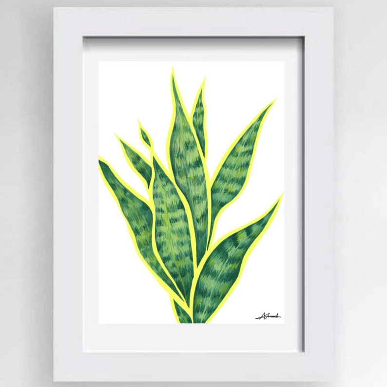 Snake Plant Print