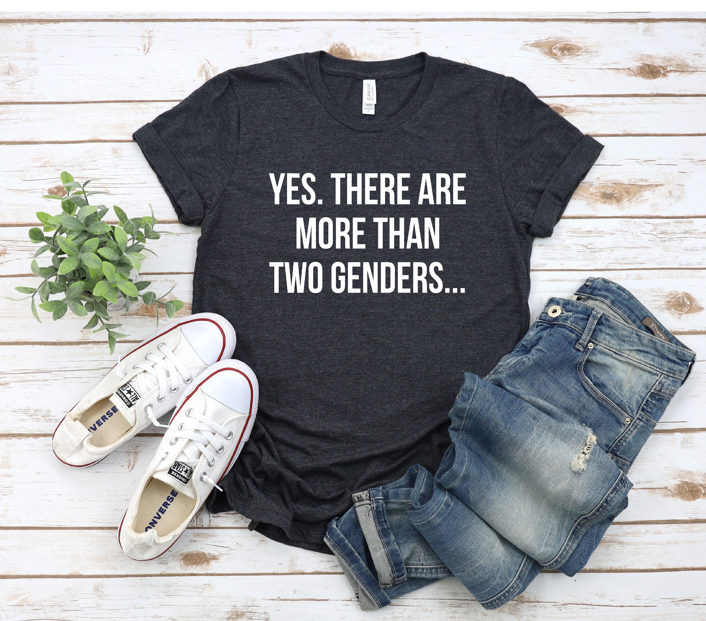 more than 2 gender shirt