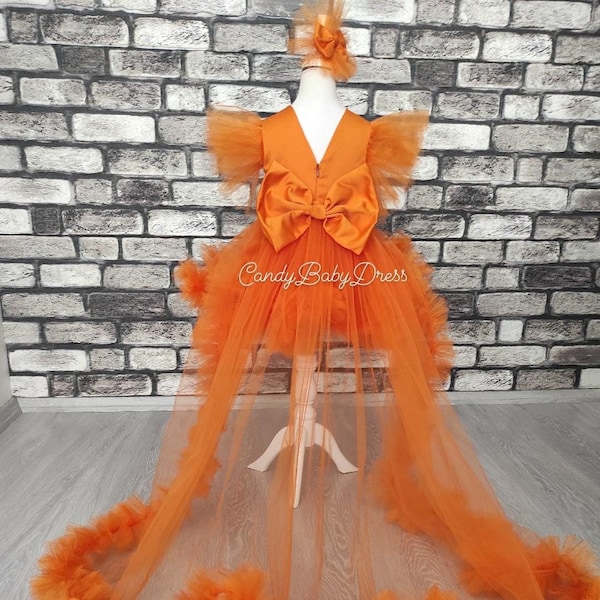 Long Tail Orange Flower Girl Dress , Special Occassion Dress ,Toddler Tutu Dress ,Tutu for Baby ,Birthday Luxury Baby Dress,Photoshoot Dress