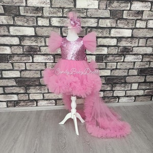 Girl Baby Princess Costume , Princess Tutu Dress , First Birthday Tutu , Tulle Dress , 1st Birthday Outfit , Luxury Girl Dress, Photoshoot