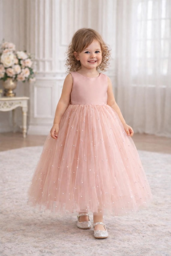 dusty pink dress and silver shoes Velvet Fairy Dancer Dress main image 0