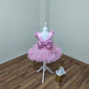Pink Princess Dress , Luxury Belle Costume , Princess Girl Dress , Pink Girl Cloth , Luxury Pink Costume , Birthday Outfit , Party Outfit