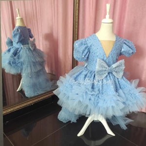 Blaues Blumenmädchen Kleid, Geburtstagsparty, Tutu Abschlusskleid, funkelndes Kleinkind Kleid, Fotoshooting, gekräuseltes Festzugskleid, besonderer Anlass