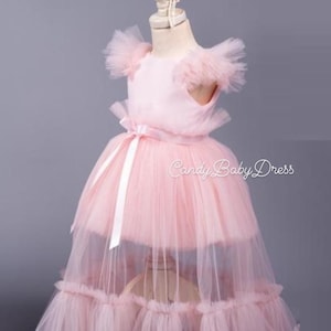 Long Tail Pink Girl Dress , Pink Birthday Dress ,Special Occassion Girl Dress ,  Pink Party Girl Dress , Luxury Girl Dress ,Pink Tulle Dress