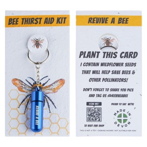 Bee Revival Kit with Plantable Paper (Blue)