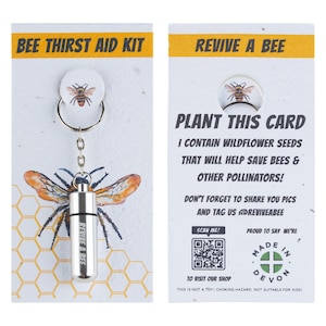 Bee Revival Kit with Plantable Paper (Silver)