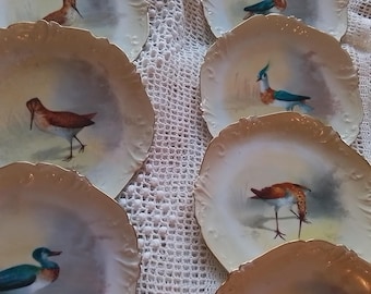 Vintage Arthur Singer Woodland Birds of the World Porcelain Plate