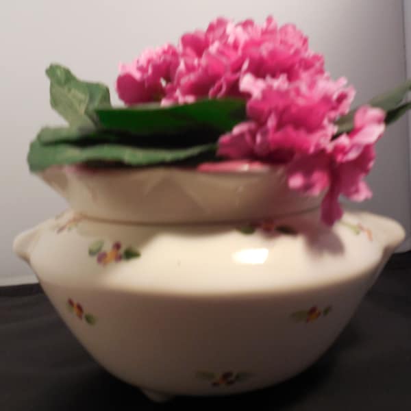 Self Watering African Violet Pot-Large