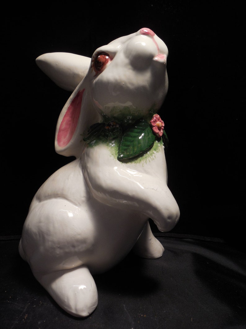Bunny Begging To Be Taken Home
