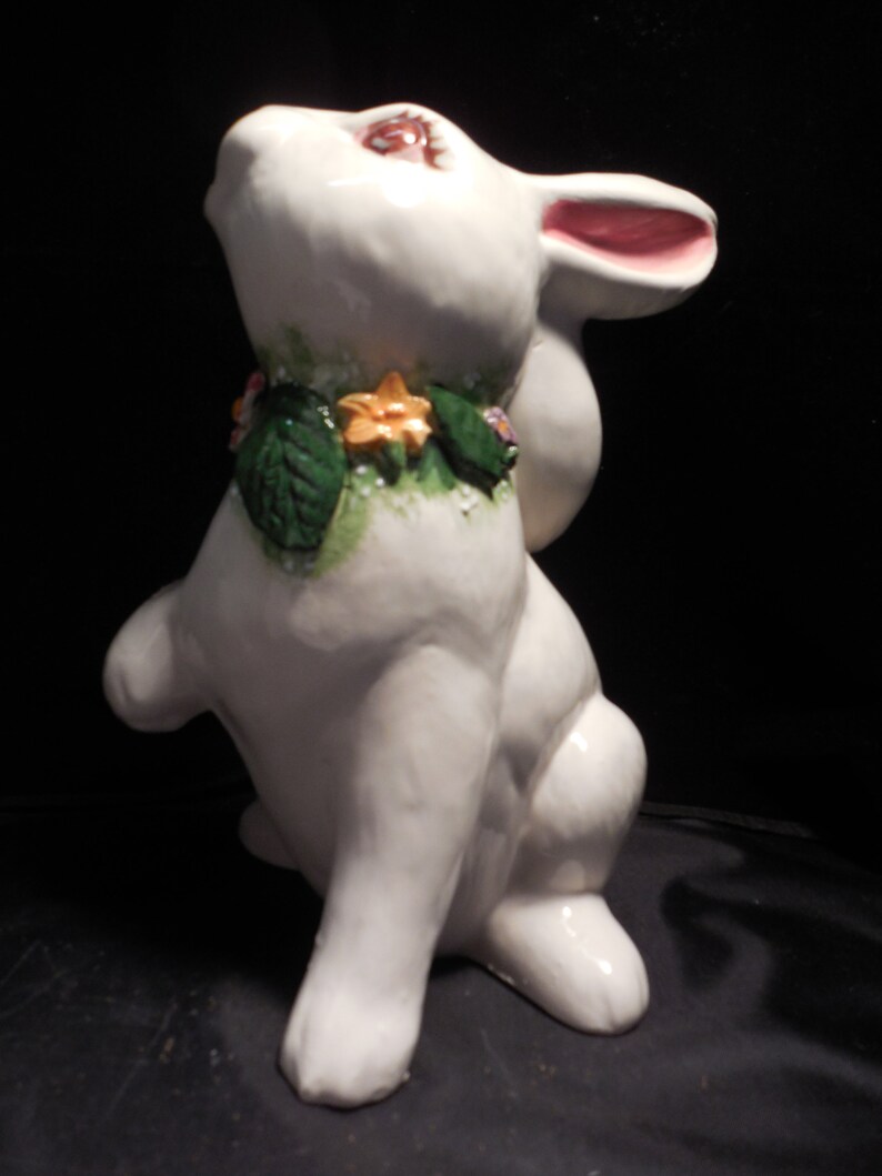 Bunny Begging To Be Taken Home