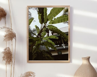 Minimal Minimal Photo Poster Massive Birds of Paradise Plant, Wall Art Ideal For Home or Work, A2-A5