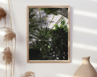 Copenhague Póster fotográfico minimalista Jardín botánico Planta de invernadero, arte mural ideal para el hogar o el trabajo, A2-A5