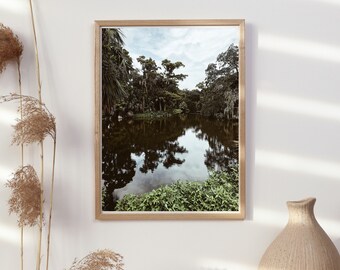 Parque Natural del Sur de Nueva Orleans, Lago, Estanque, Galería de Museos Hermoso Arte de pared A2-A4