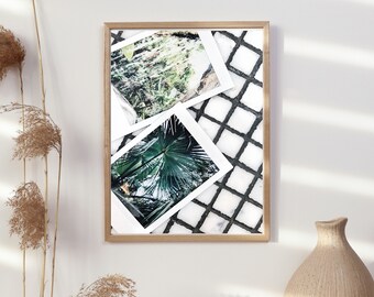 Polaroids de Nueva Orleans Botánico Histórico Jardín Planta Inspiración Retrato Arte de pared, imprimible A2-A5