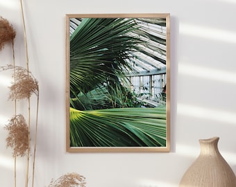 Tropical Copenhague Minimal Photo Poster Jardín Botánico Planta Verde Casa, Arte de pared Ideal para el hogar o el trabajo, A2-A5
