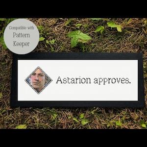 Patrón de punto de cruz «Astarion aprueba» de Baldur’s Gate 3