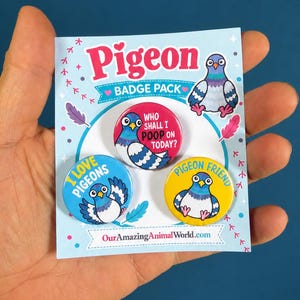 Pack of 3 pigeon badges