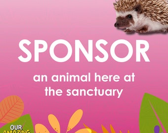 Sponsor a Rescue Animal