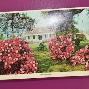Blossoming Beauty: Hand-Embroidered Hawthorne Texas Postcard Texas vintage 60s postcard, embroidery, florals, one of a kind gift