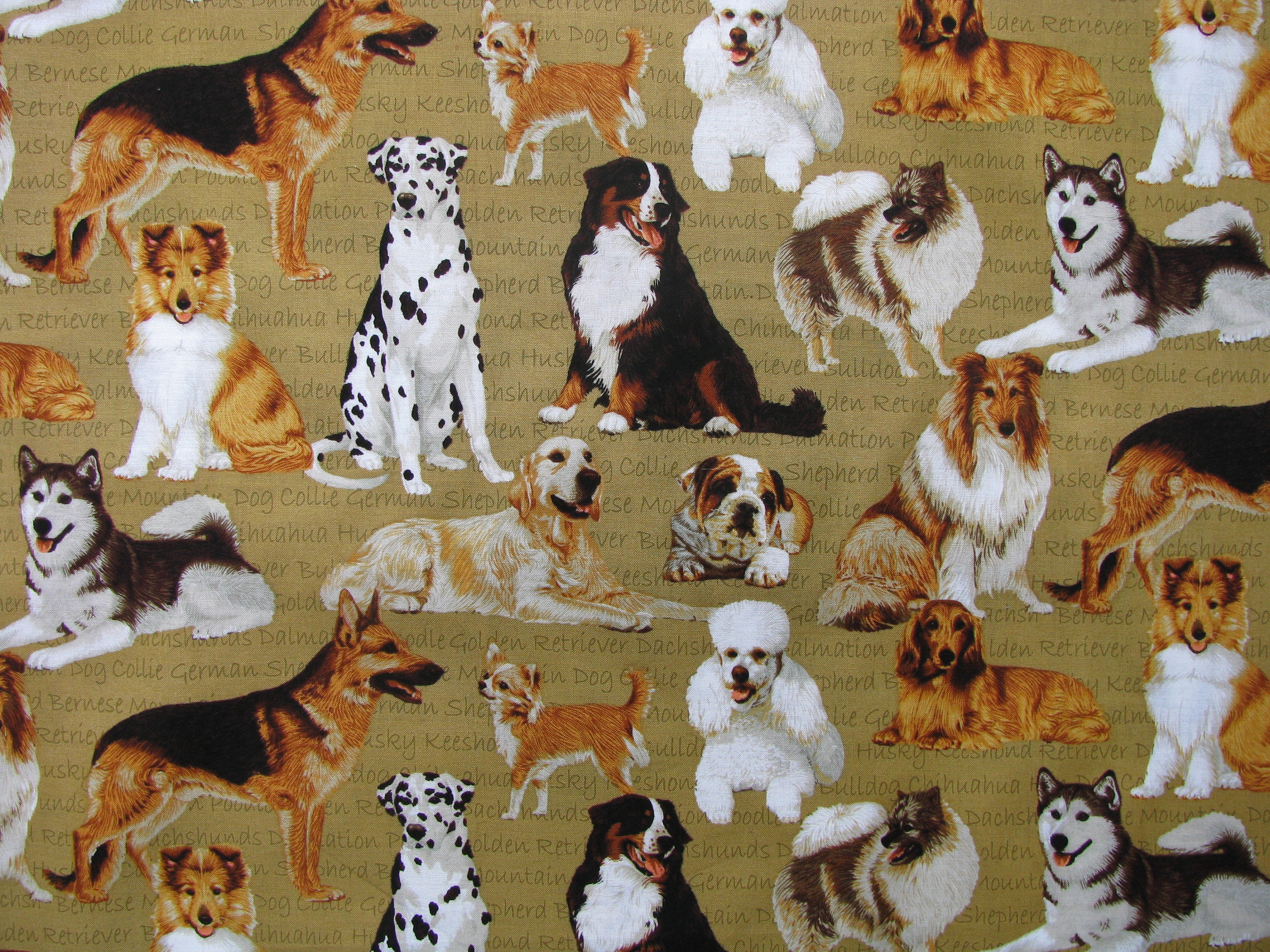 Rare 1 Yard Dog Fabric Multi Breed Dogs Patty Reed Fabric Etsy