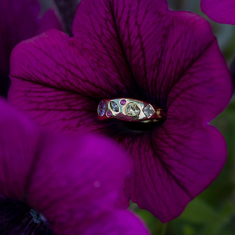 Pode incluir: Um anel de ouro com uma variedade de pedras preciosas coloridas engastadas em uma banda. O anel est&aacute; descansando sobre uma p&eacute;tala de flor roxa.