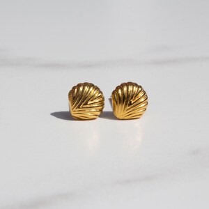 May include: A pair of gold-coloured seashell stud earrings. Each earring features a detailed, ridged design, resembling a miniature scallop shell. The earrings are presented on a white surface, with soft shadows.
