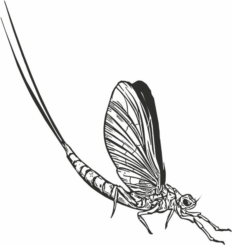 Handmade Flies Leather Fishermen Wallet Leather Fly Dryer Etsy