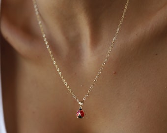 14k Gold Marienkäfer Halskette, Rot-Schwarzer Emaille Anhänger, Zierliche Dorica Kette