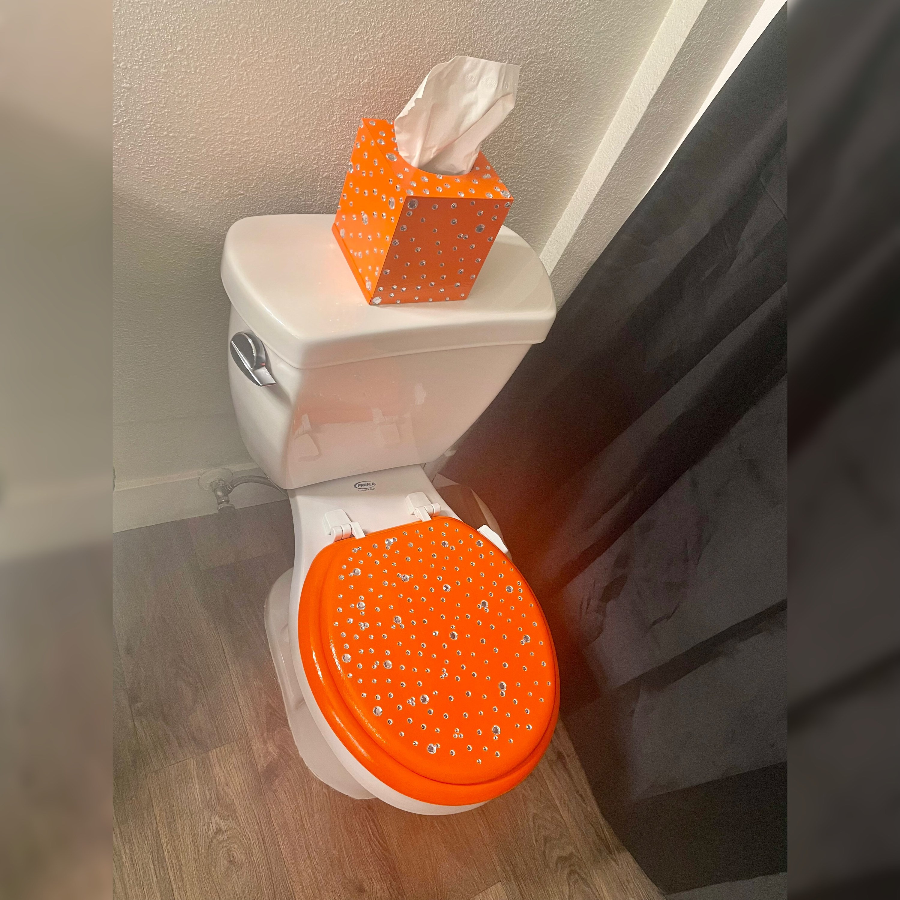 Orange Silver Bling Hand Painted Toilet Seat Set Bathroom Vanity