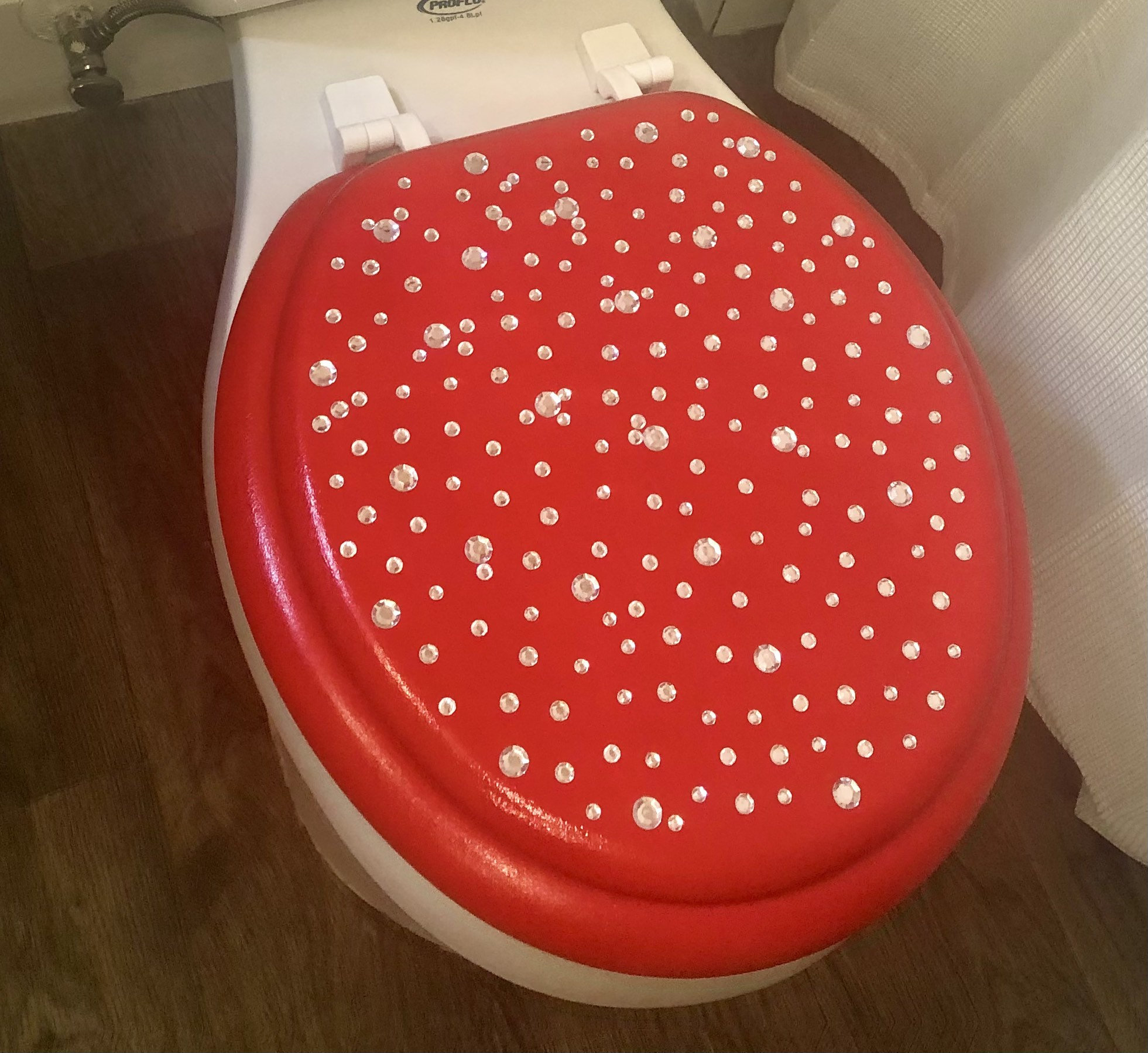 custom toilet seat