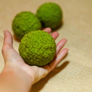 All Natural Horse Apples Osage Orange Hedge Apples