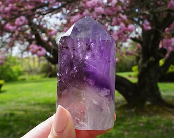 May include: A purple amethyst crystal point with a clear, almost white, base. The crystal is being held in a hand in front of a pink flowering tree.