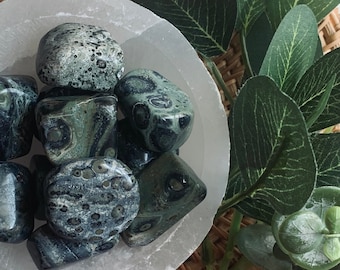 Rodajas de jaspe kambaba / Piedras de jaspe kambaba / Jaspe cocodrilo