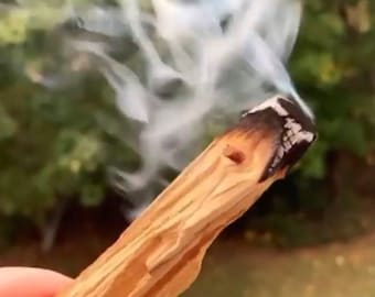 Sustainably Sourced Palo Santo Incense: Fragrant Holy Wood
