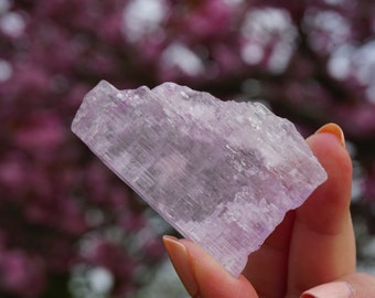 Ejemplar de Kunzita en Bruto: Cristal Natural que Cura el Corazón