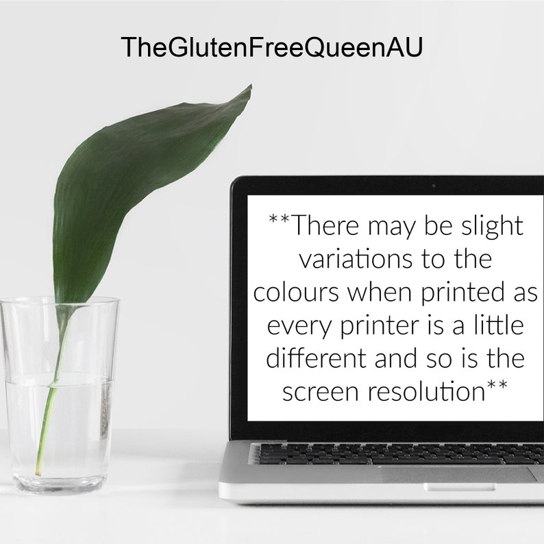 May include: A laptop computer with a white background and a green plant in a glass vase. The laptop screen displays the text: "There may be slight variations to the colours when printed as every printer is a little different and so is the screen resolution."