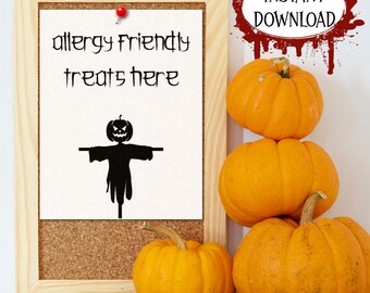 Big Dot Of Happiness Halloween-Rasenschild „Teal Kürbis“ – 26,7x34,3 Cm, Wasserdicht, Mit 2 Metallpfählen – Allergiefreundliches „Trick Or Trinket“-Schild
