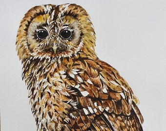 Original tawny owl bird watercolour painting, watercolour on paper, original animal wildlife art