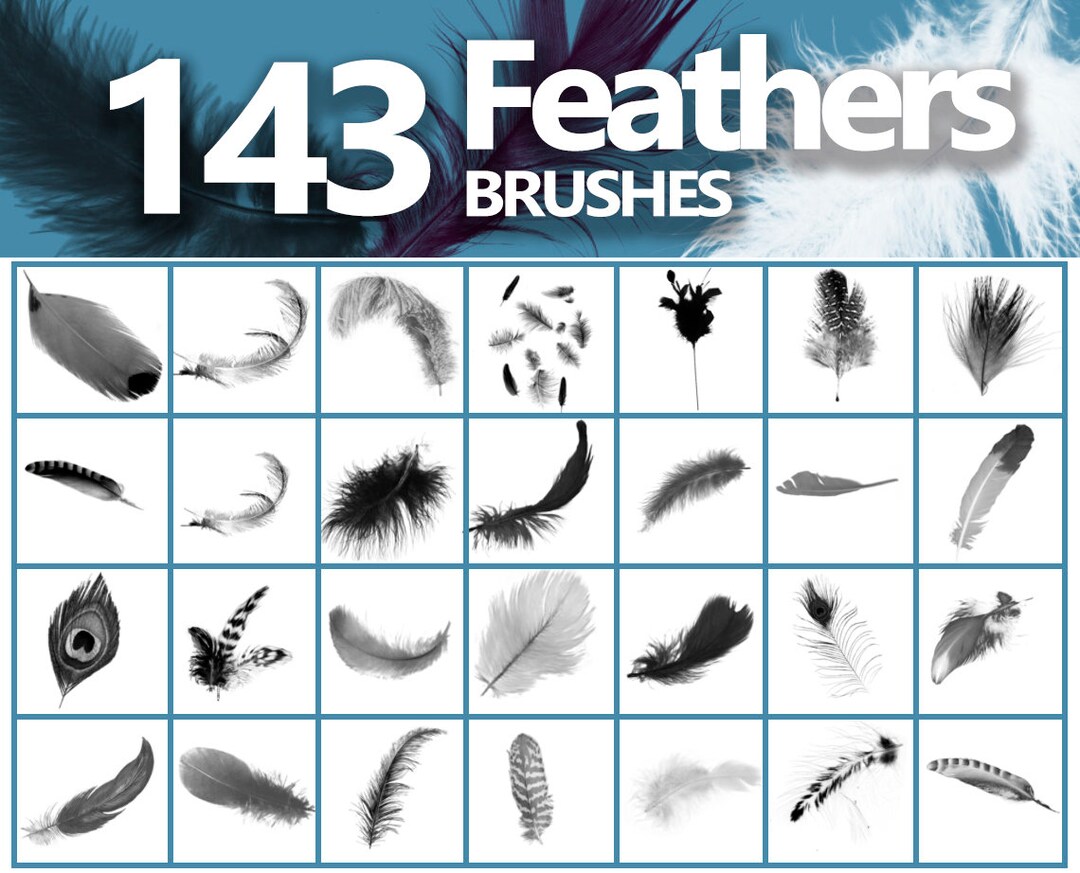 Feathers Brushes, Plumage, Bird Feathers Overlays, Fluff